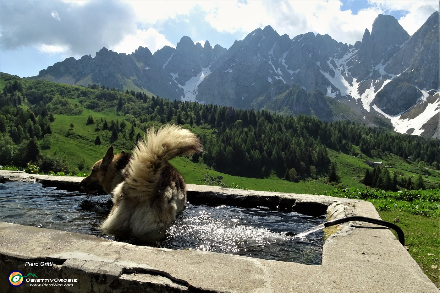 14 Alla fontana della Malga Rena (1674 m) primo bagnetto mattutino di Dori.JPG